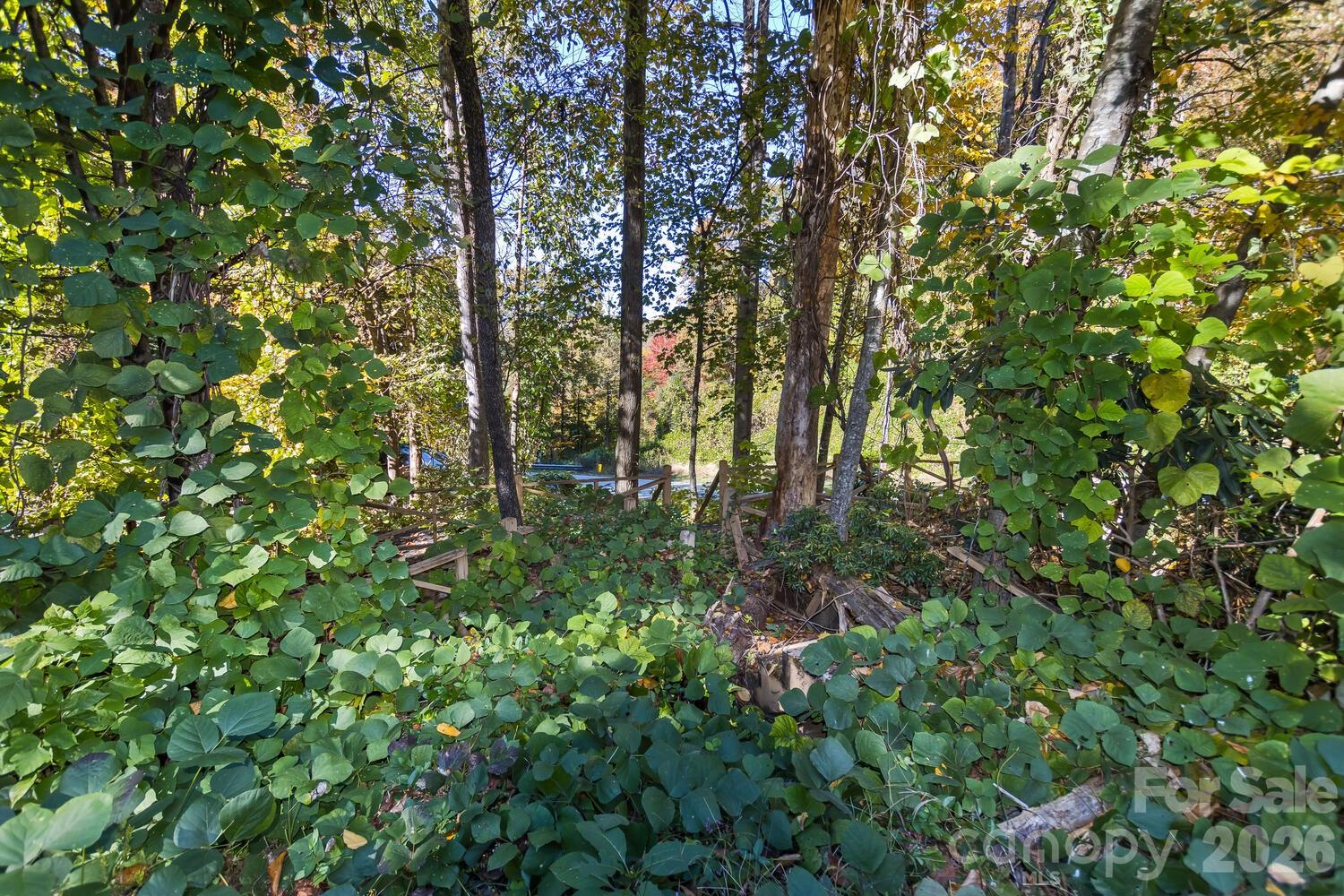 0 Waterside Drive Lake Lure NC 28746