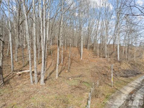 0 Barn View Lane Waynesville NC 28785