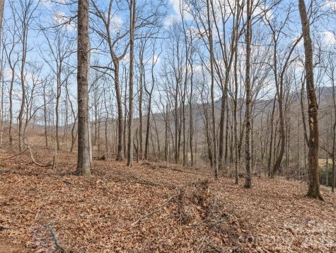 0 Barn View Lane Waynesville NC 28785