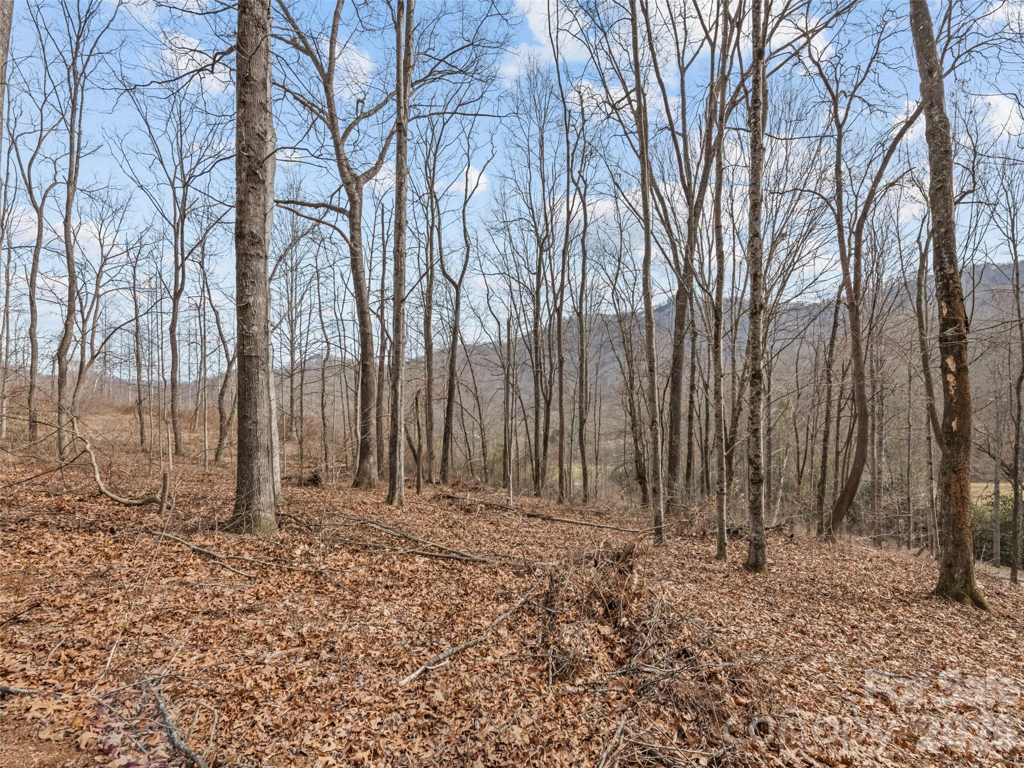 0 Barn View Lane Waynesville NC 28785