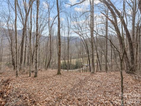0 Barn View Lane Waynesville NC 28785