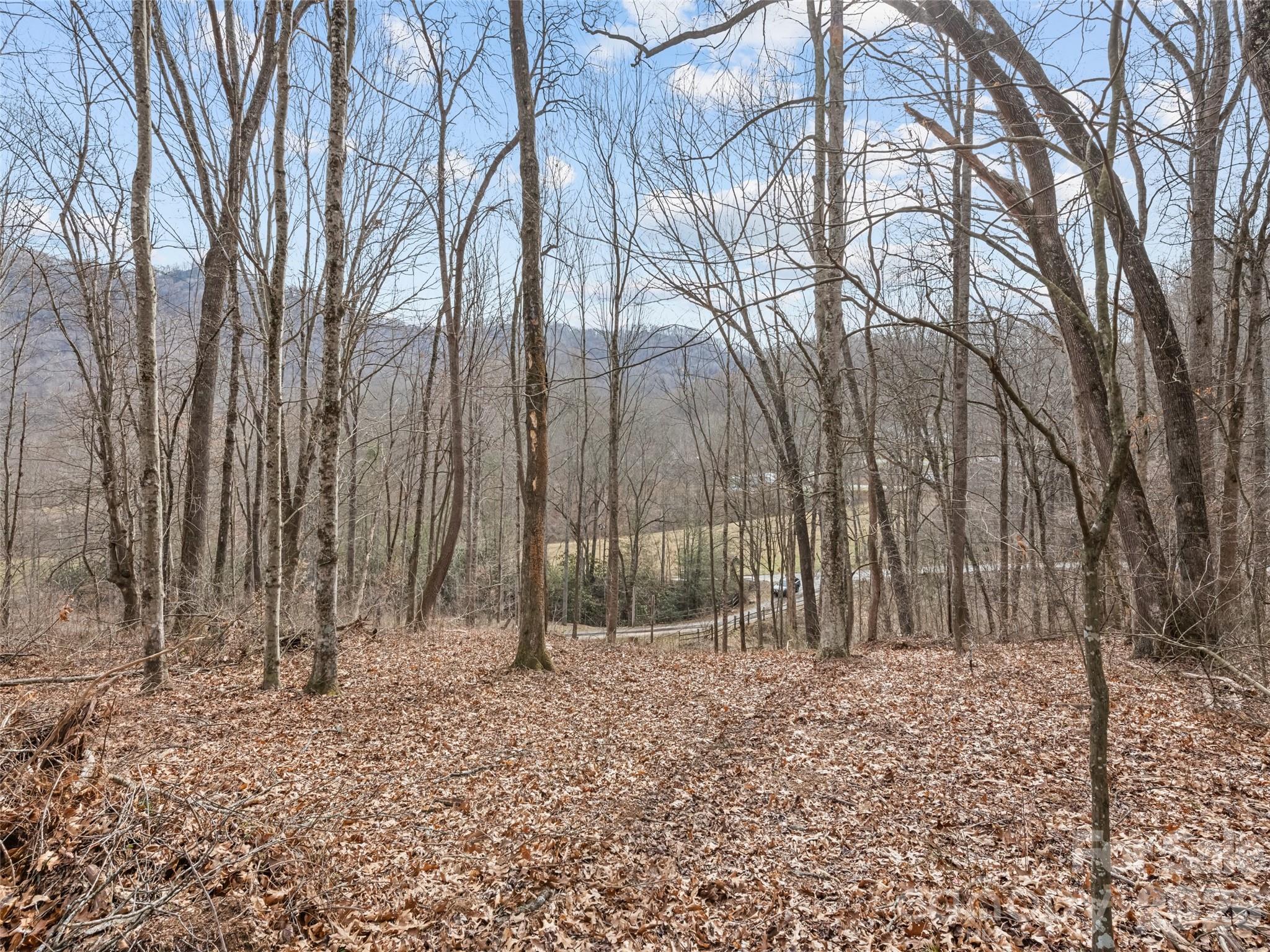 0 Barn View Lane Waynesville NC 28785