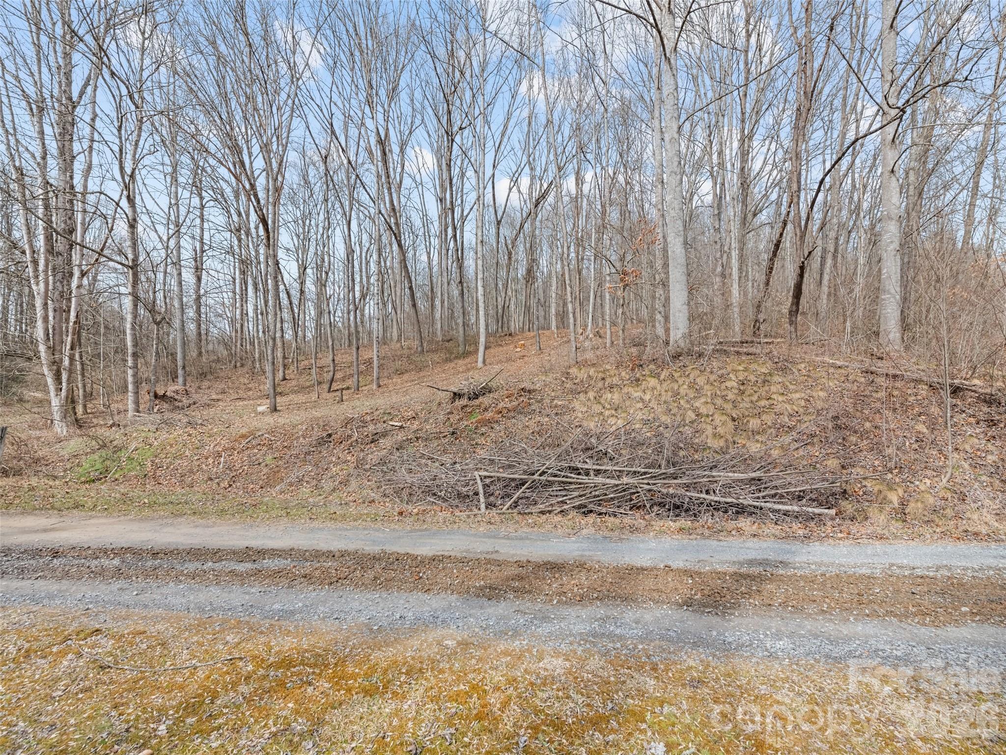0 Barn View Lane Waynesville NC 28785