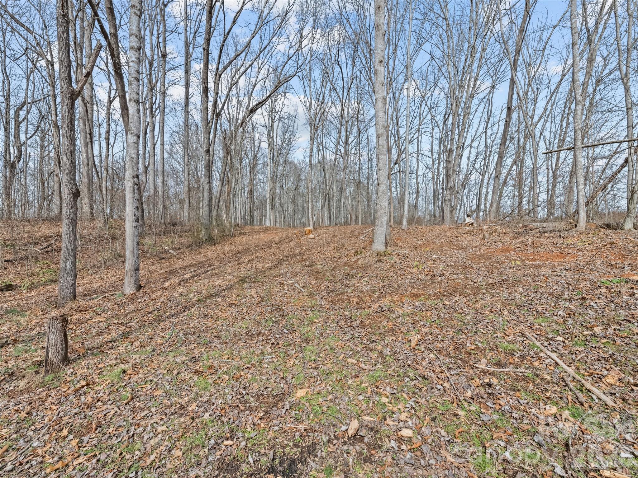 0 Barn View Lane Waynesville NC 28785