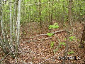 Lot 81 Wild Ridges Marion NC 28752