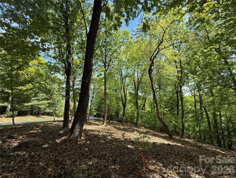 108 Fawncrest Court Flat Rock NC 28731