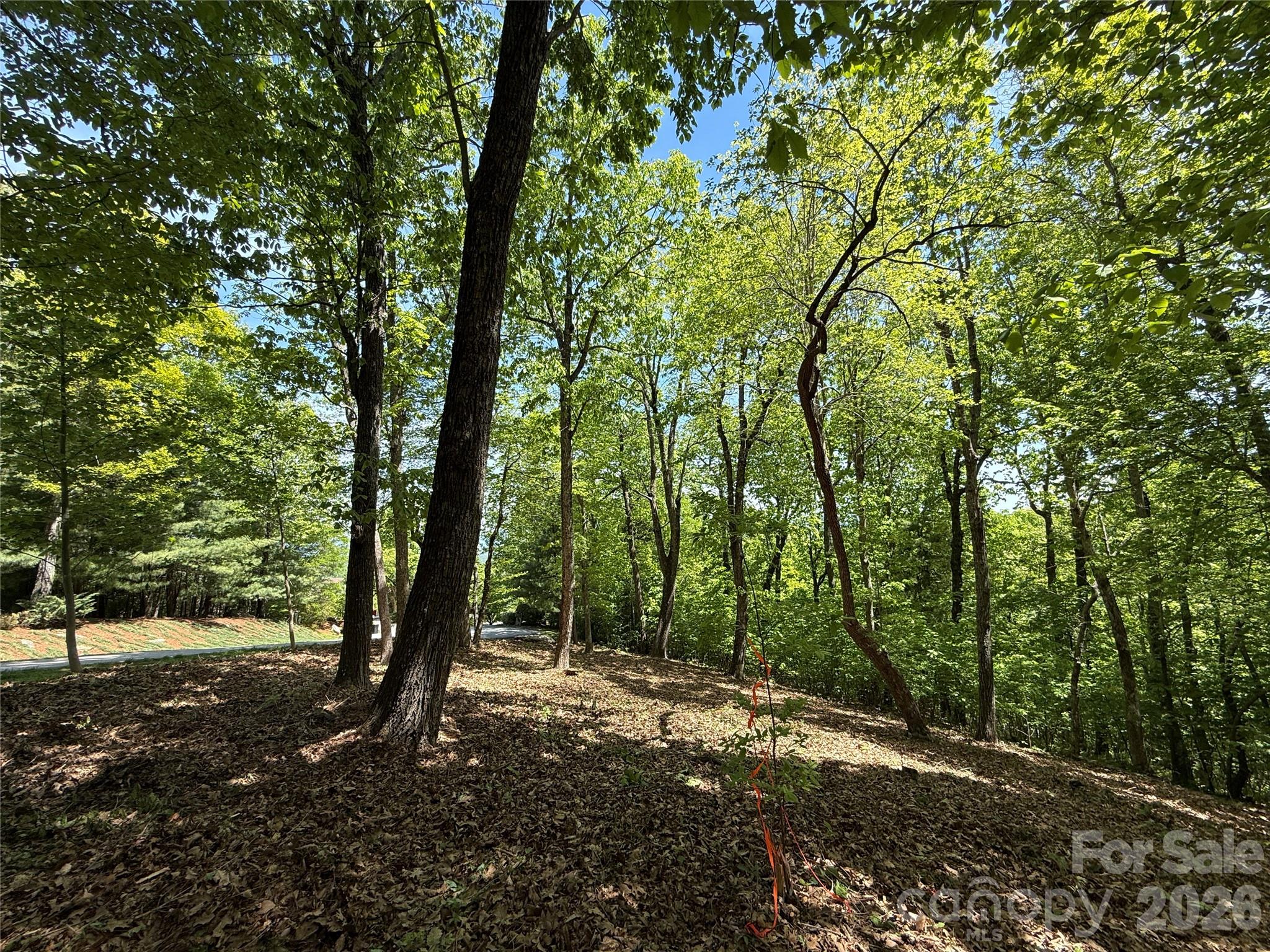 108 Fawncrest Court Flat Rock NC 28731