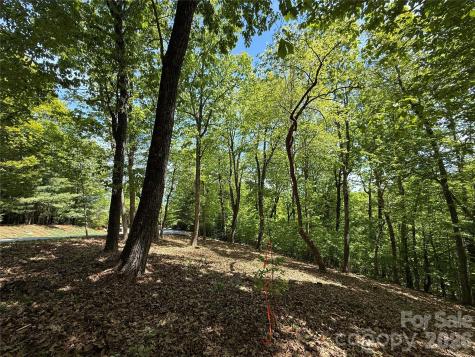 108 Fawncrest Court Flat Rock NC 28731