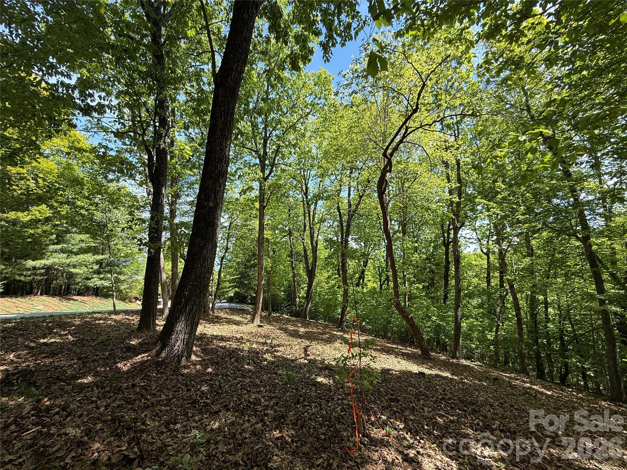 108 Fawncrest Court Flat Rock NC 28731