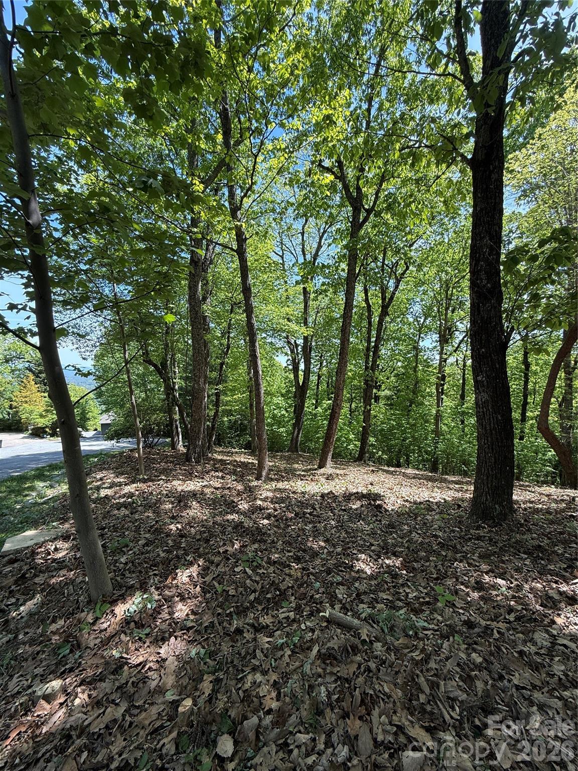 108 Fawncrest Court Flat Rock NC 28731
