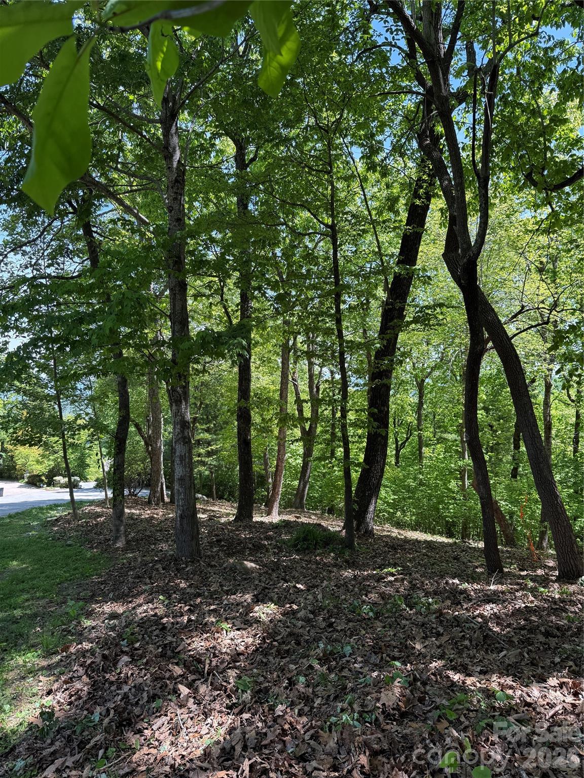 108 Fawncrest Court Flat Rock NC 28731