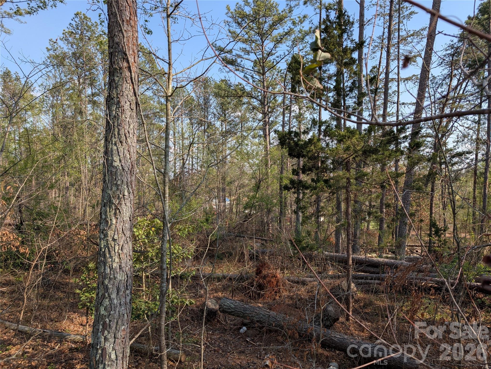 Tbd Whitesides Road Forest City NC 28043