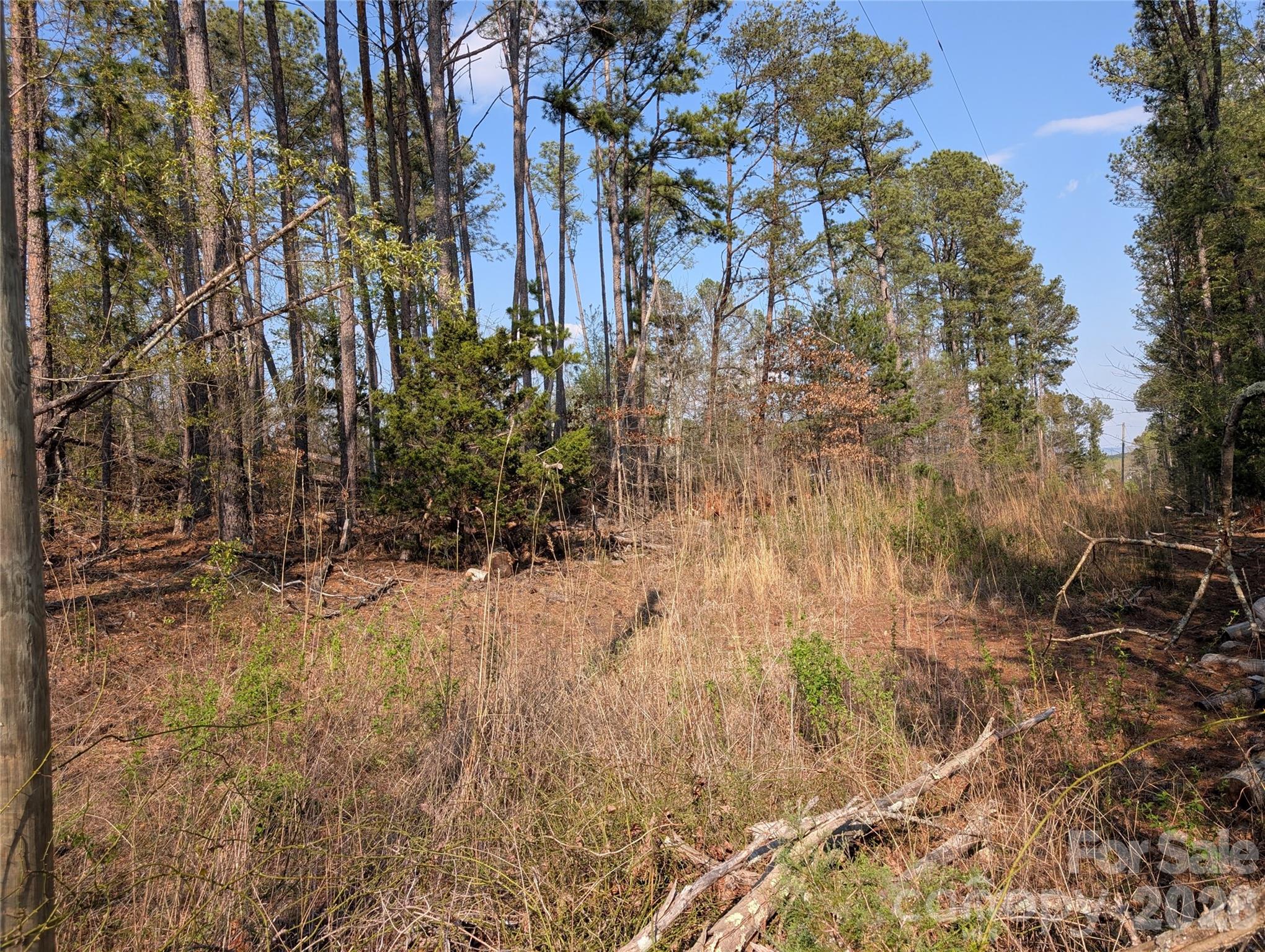 Tbd Whitesides Road Forest City NC 28043