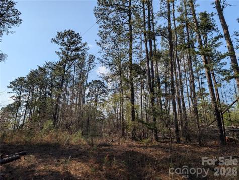 Tbd Whitesides Road Forest City NC 28043