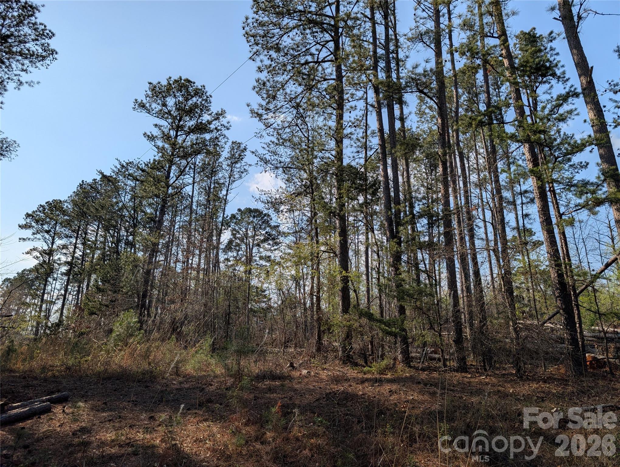 Tbd Whitesides Road Forest City NC 28043
