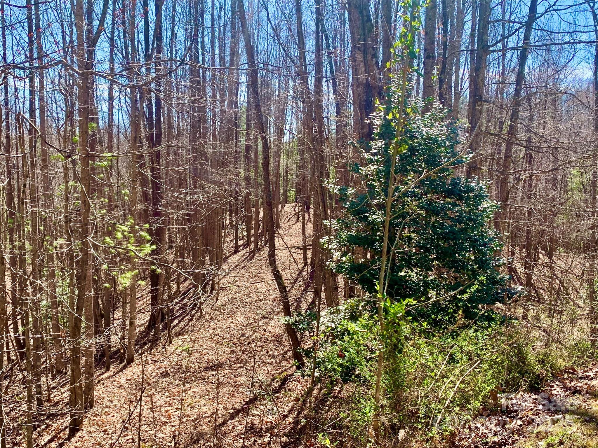 2.78 Acres, Lot 84 Round Rock Road Lenoir NC 28645