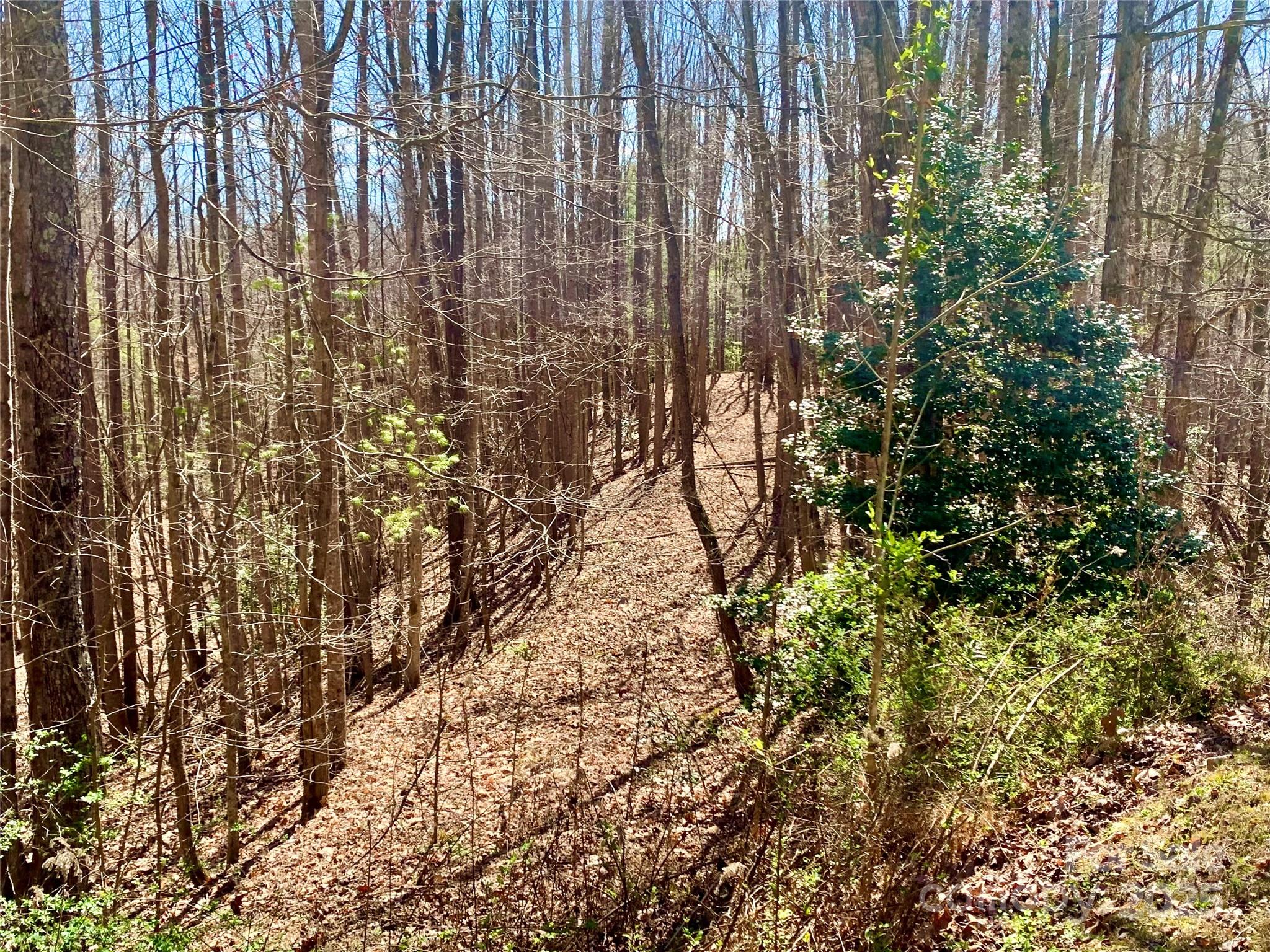 2.78 Acres, Lot 84 Round Rock Road Lenoir NC 28645