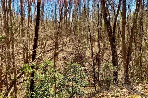 2.78 Acres, Lot 84 Round Rock Road Lenoir NC 28645
