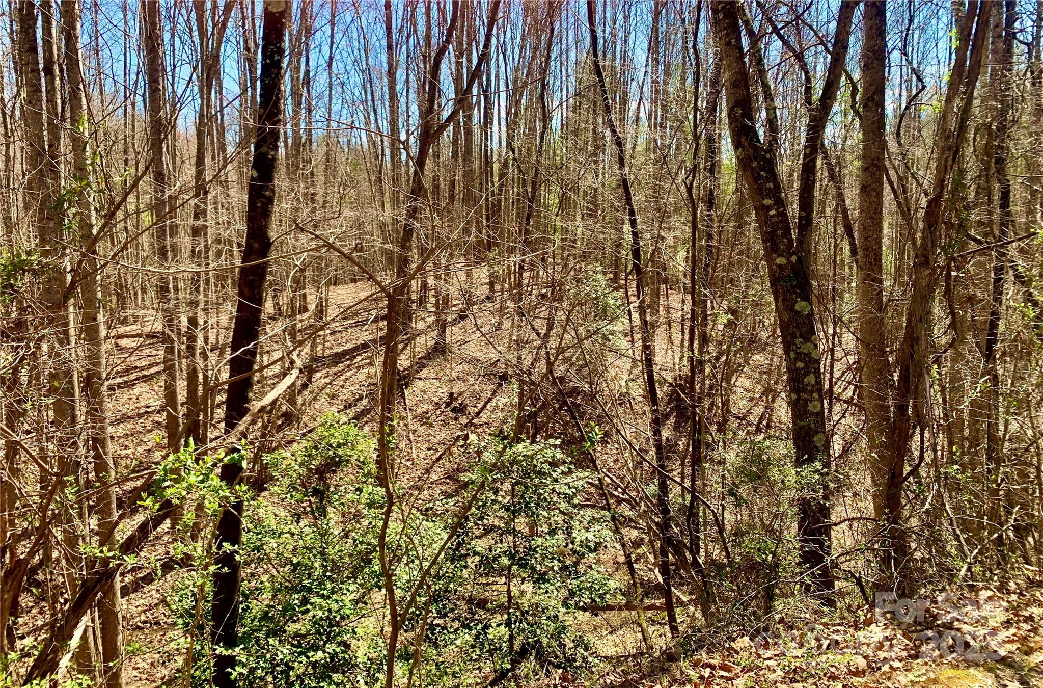 2.78 Acres, Lot 84 Round Rock Road Lenoir NC 28645