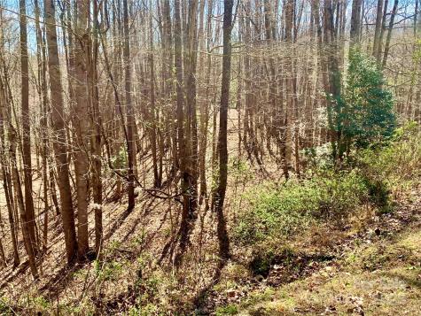 2.78 Acres, Lot 84 Round Rock Road Lenoir NC 28645