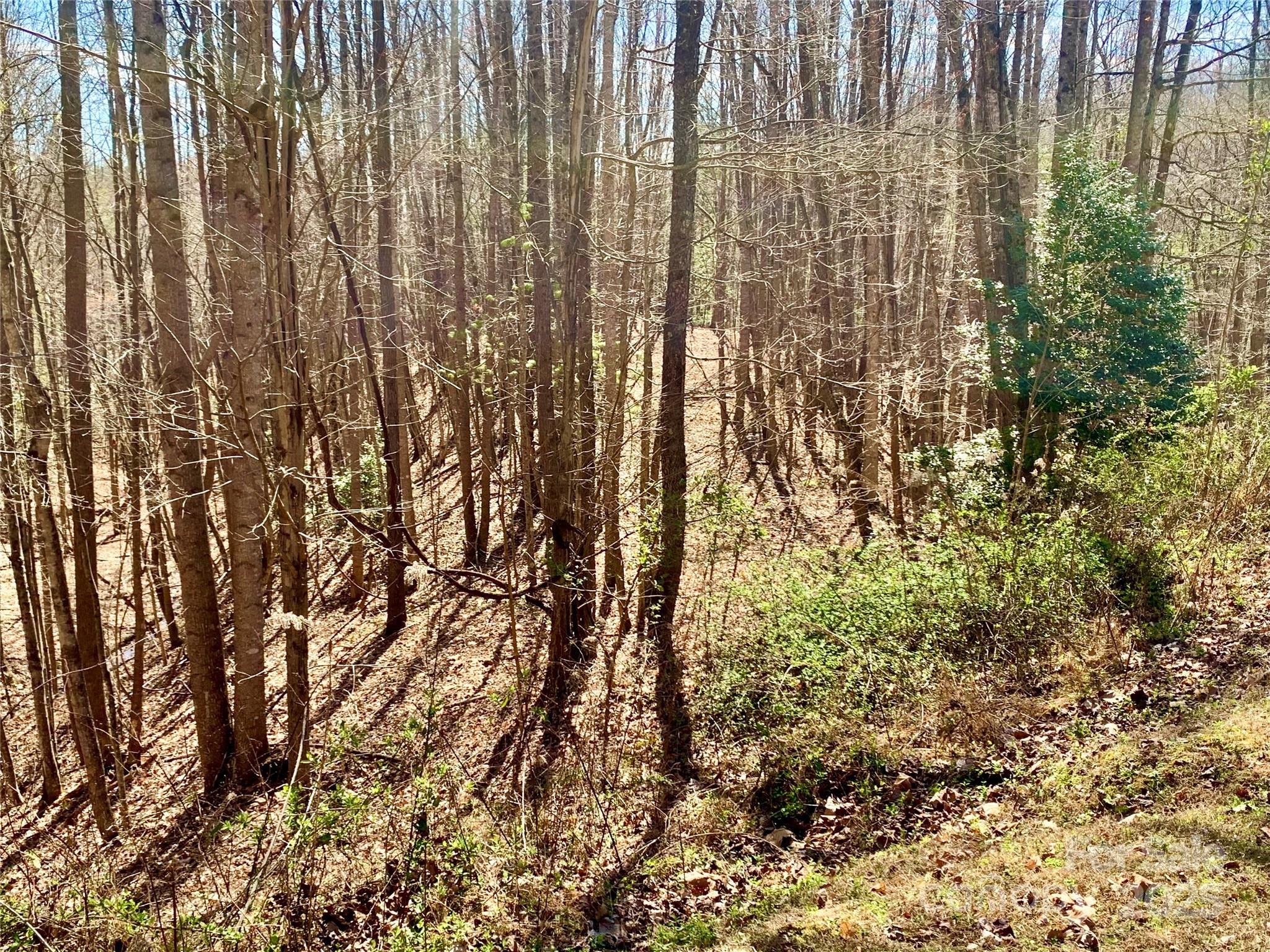 2.78 Acres, Lot 84 Round Rock Road Lenoir NC 28645