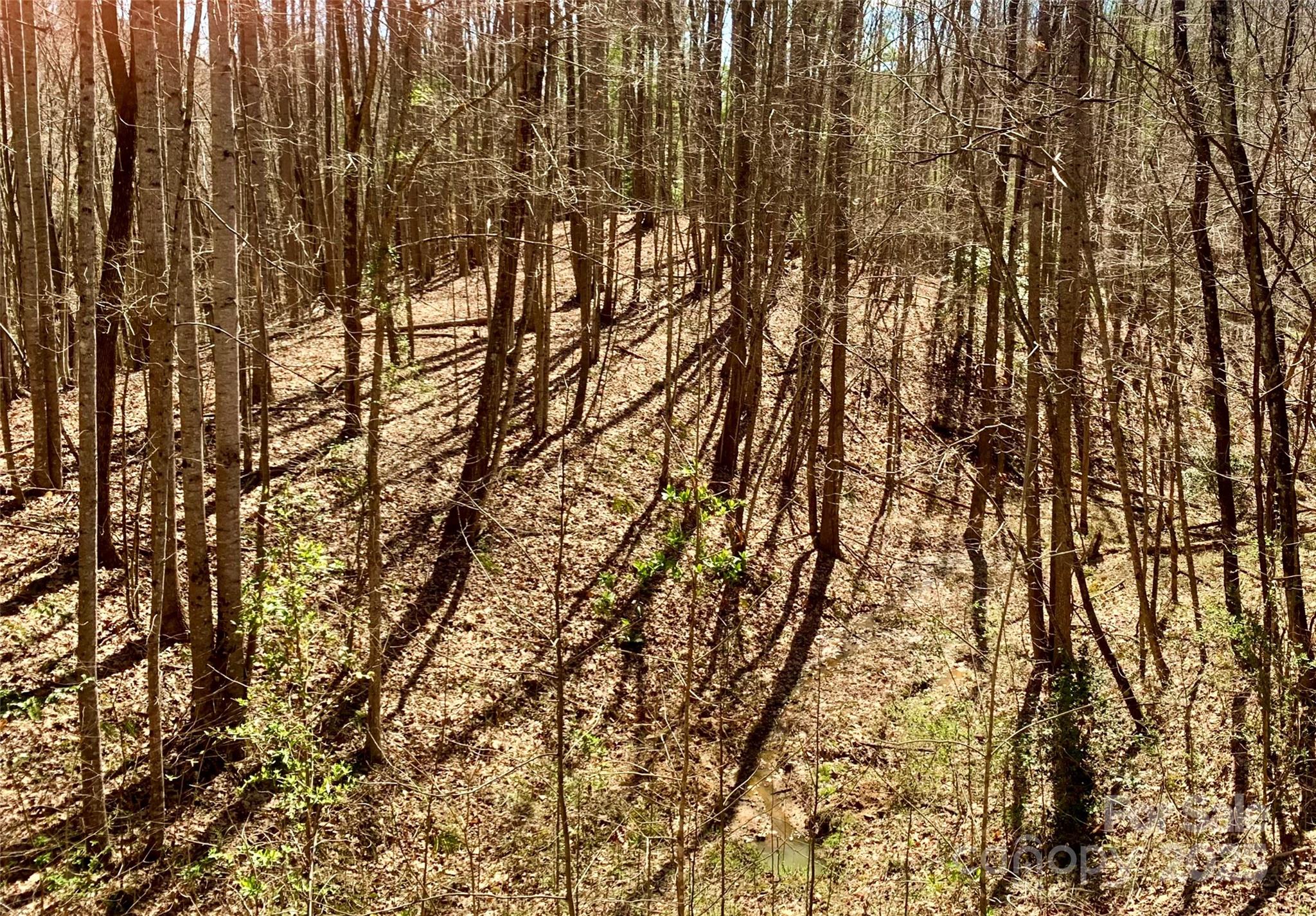 2.78 Acres, Lot 84 Round Rock Road Lenoir NC 28645