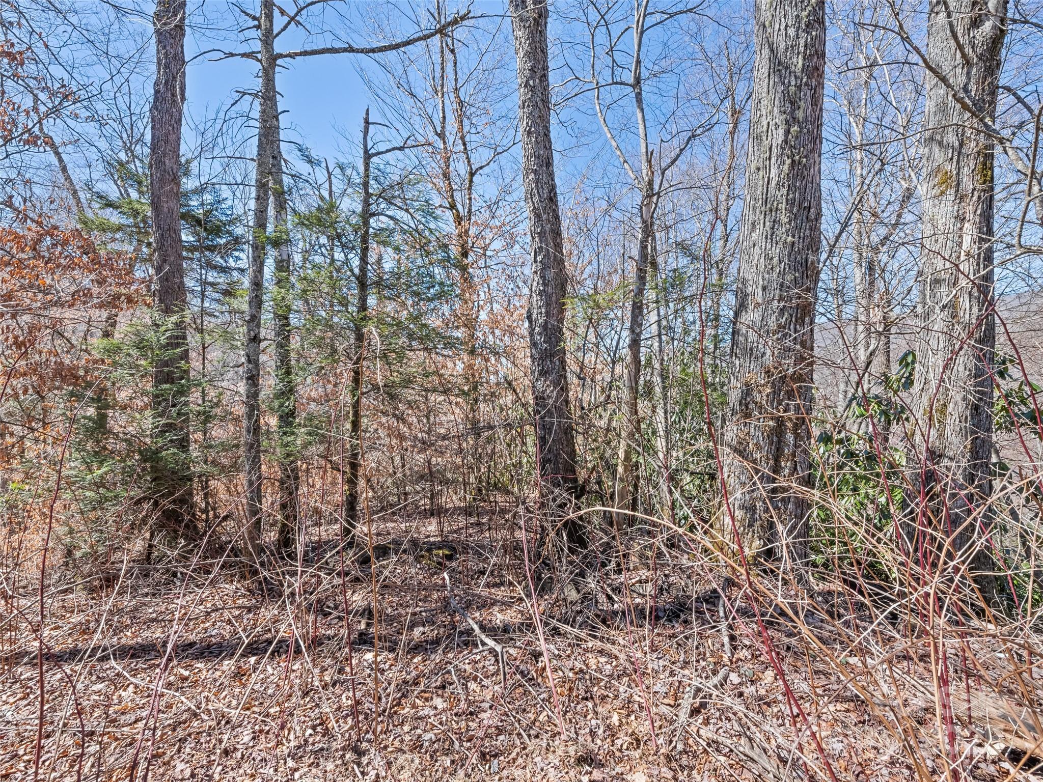Lots 5,6,7 Spruce Flats Road Maggie Valley NC 28751
