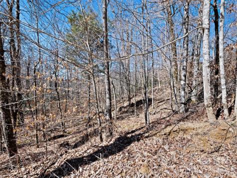 Lots 5,6,7 Spruce Flats Road Maggie Valley NC 28751