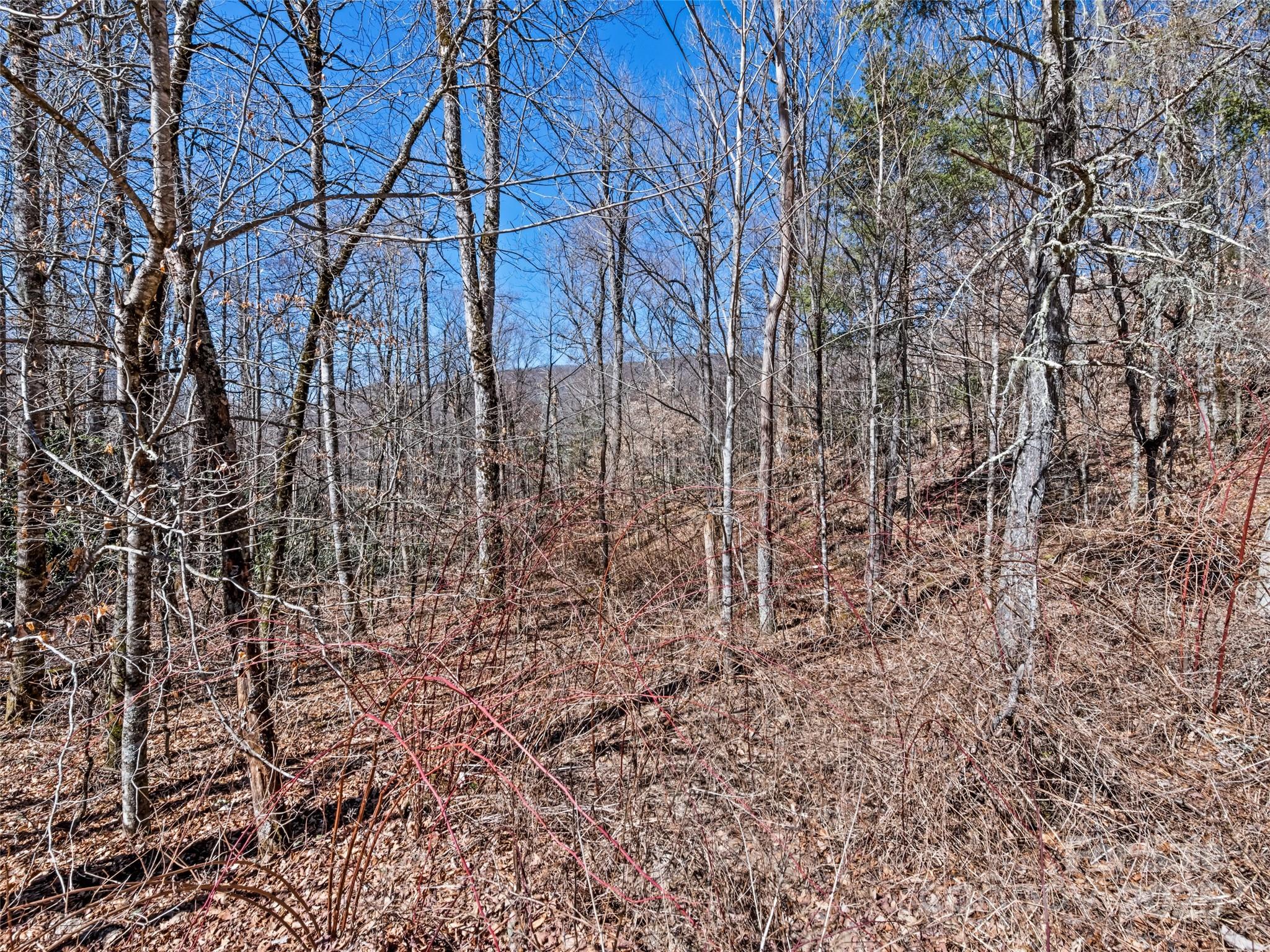 Lots 5,6,7 Spruce Flats Road Maggie Valley NC 28751