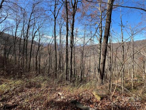 Lot 8 Falls View Drive Bryson City NC 28713