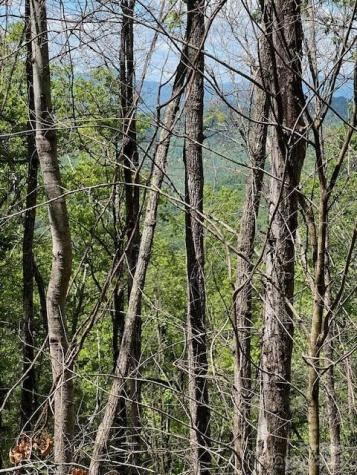 Lot 8 Falls View Drive Bryson City NC 28713