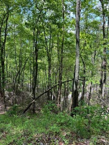 Lot 8 Falls View Drive Bryson City NC 28713