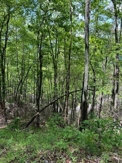 Lot 8 Falls View Drive Bryson City NC 28713