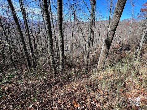 Lot 8 Falls View Drive Bryson City NC 28713