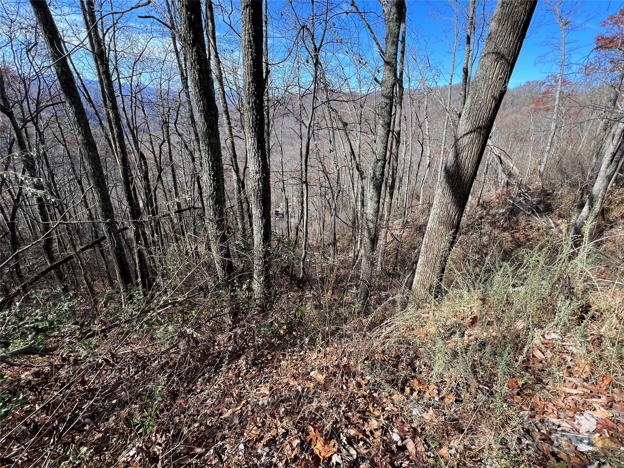 Lot 8 Falls View Drive Bryson City NC 28713