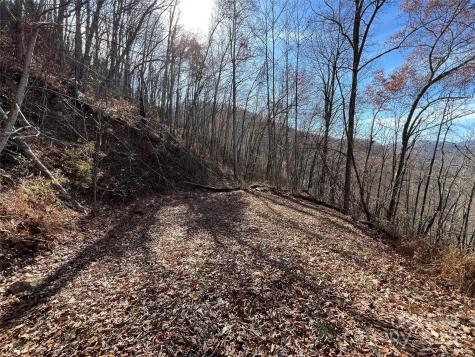Lot 8 Falls View Drive Bryson City NC 28713