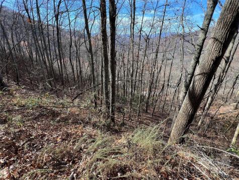 Lot 8 Falls View Drive Bryson City NC 28713
