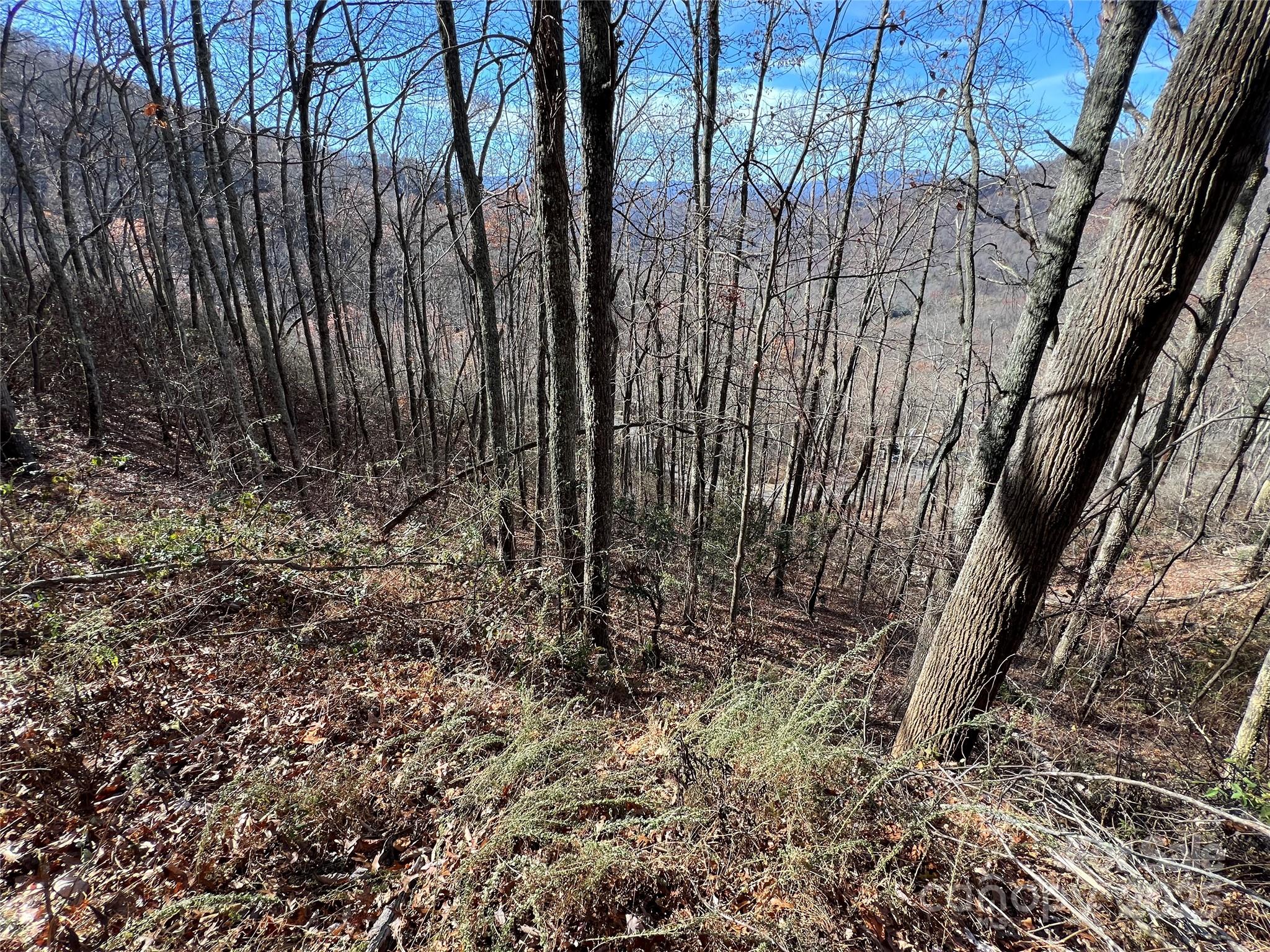 Lot 8 Falls View Drive Bryson City NC 28713