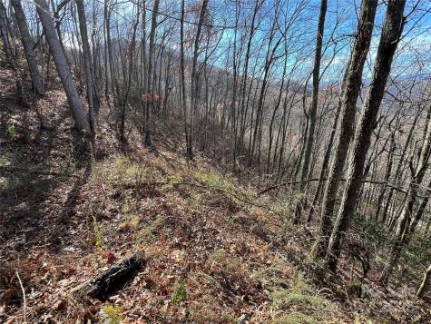 Lot 8 Falls View Drive Bryson City NC 28713
