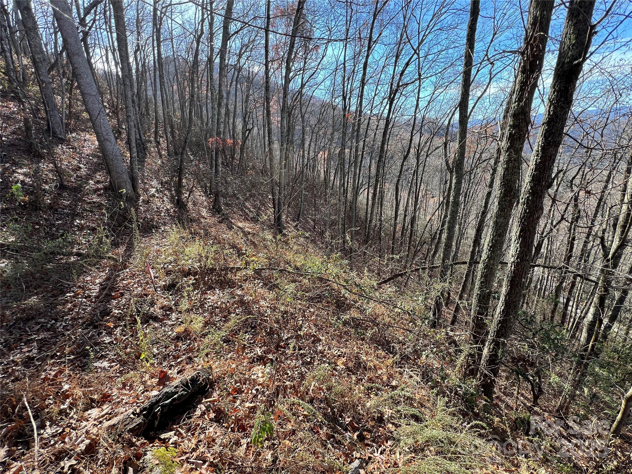 Lot 8 Falls View Drive Bryson City NC 28713