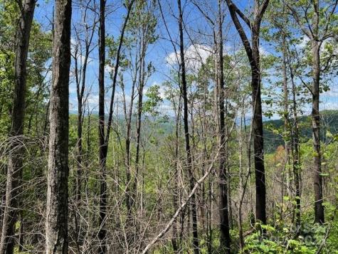Lot 8 Falls View Drive Bryson City NC 28713