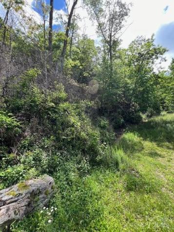 Lot 8 Falls View Drive Bryson City NC 28713