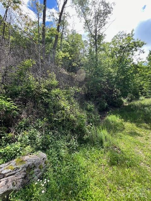 Lot 8 Falls View Drive Bryson City NC 28713