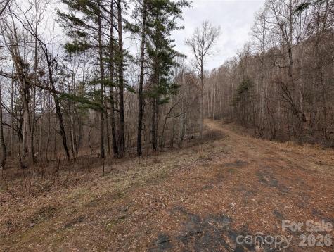 000 Wild Turkey Pen Road Bakersville NC 28705