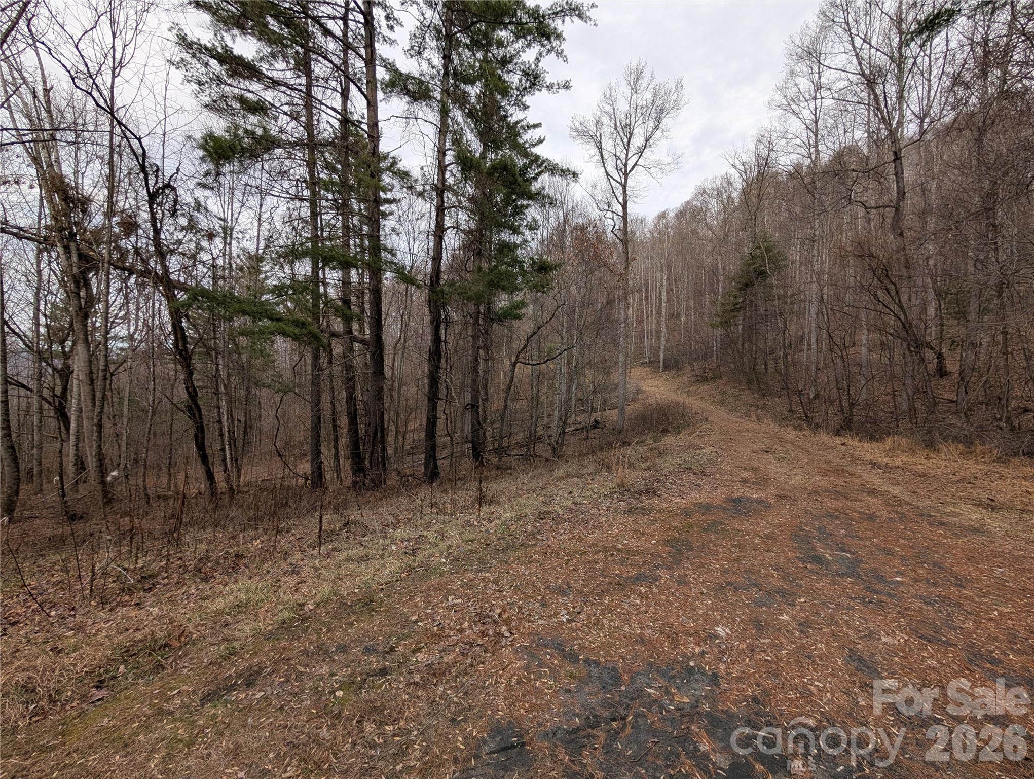 000 Wild Turkey Pen Road Bakersville NC 28705