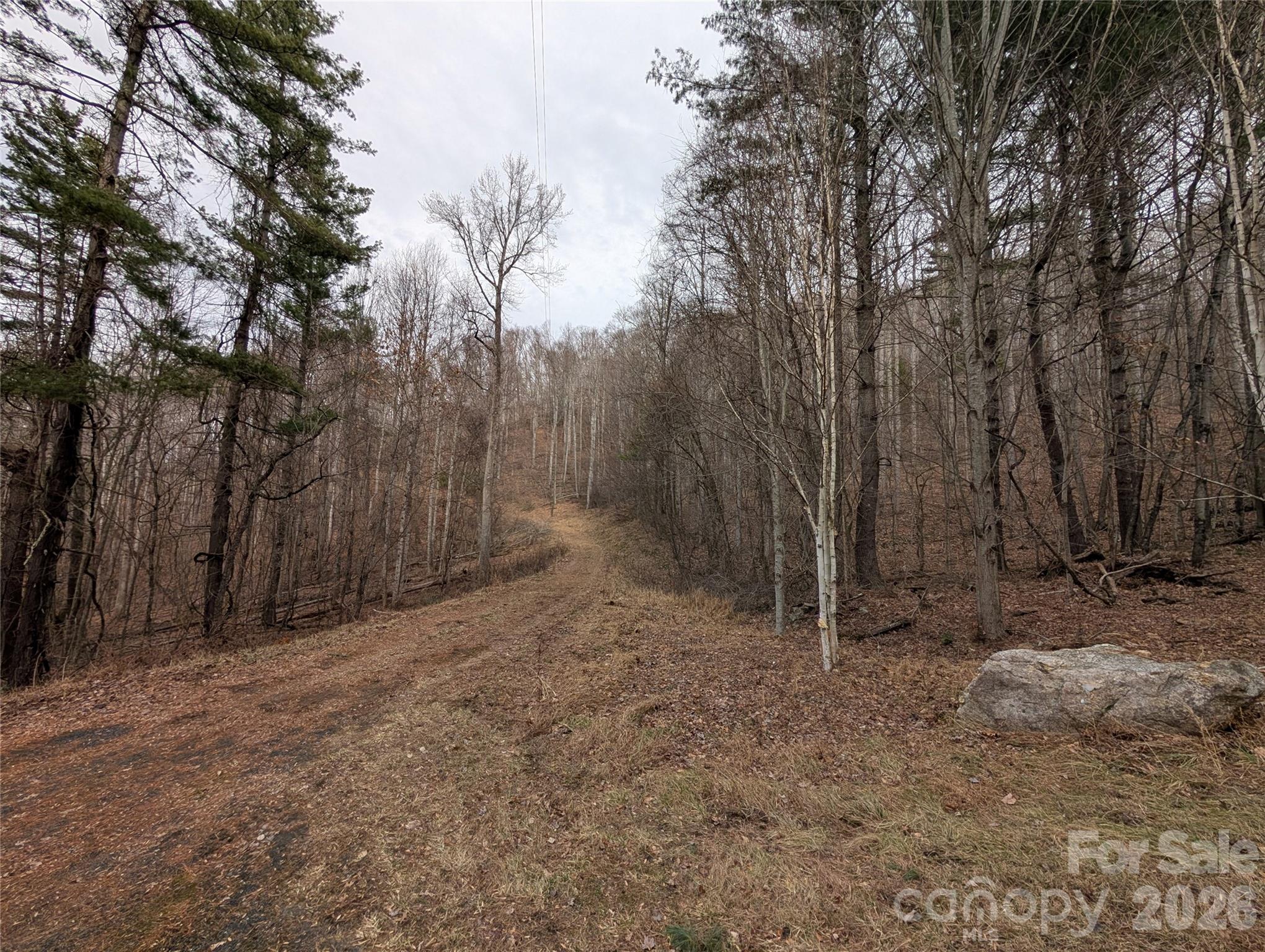 000 Wild Turkey Pen Road Bakersville NC 28705