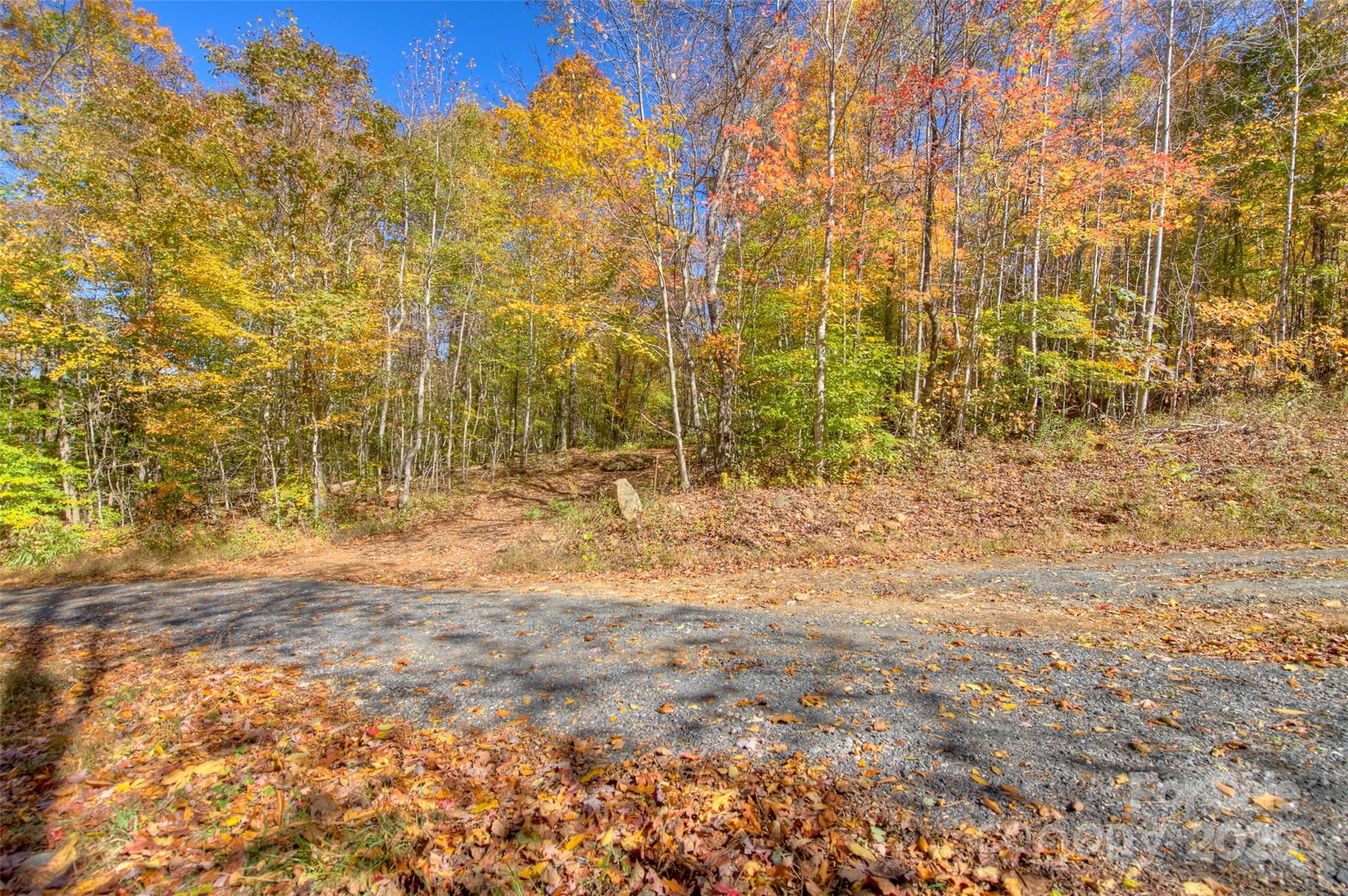 0 Pebble Ridge Road Spruce Pine NC 28777