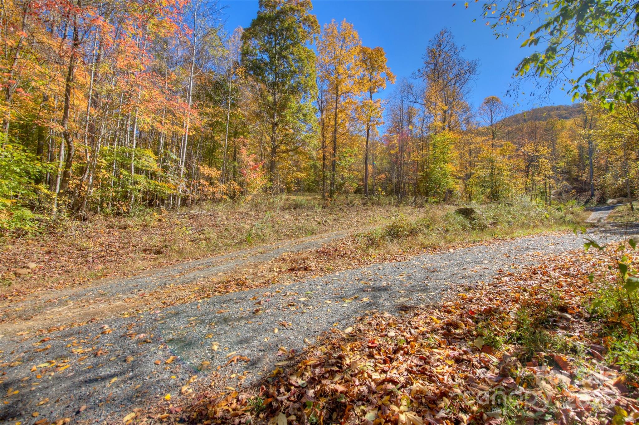 0 Pebble Ridge Road Spruce Pine NC 28777