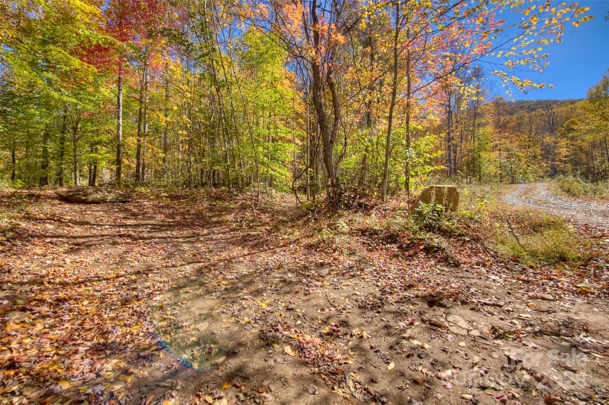 0 Pebble Ridge Road Spruce Pine NC 28777