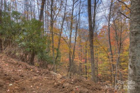 0 Pebble Ridge Road Spruce Pine NC 28777